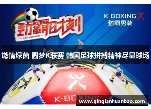 燃情绿茵 圆梦K联赛 韩国足球拼搏精神尽显球场 燃情绿茵 圆梦K联赛 韩国足球拼搏精神尽显球场
