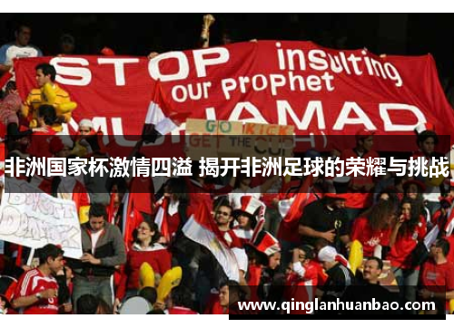 非洲国家杯激情四溢 揭开非洲足球的荣耀与挑战 非洲国家杯激情四溢 揭开非洲足球的荣耀与挑战