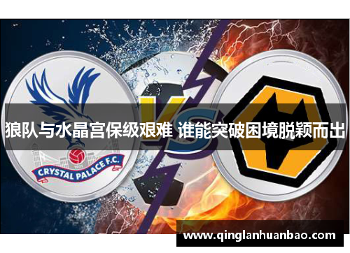 狼队与水晶宫保级艰难 谁能突破困境脱颖而出 狼队与水晶宫保级艰难 谁能突破困境脱颖而出