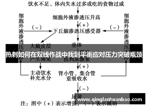 热刺如何在双线作战中找到平衡应对压力突破瓶颈 热刺如何在双线作战中找到平衡应对压力突破瓶颈